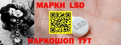 PSILOCYBIN Гатчина