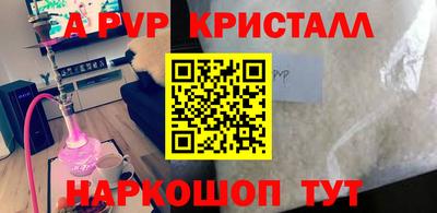 PSILOCYBIN Гатчина