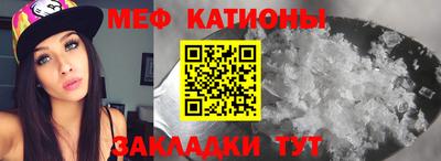 PSILOCYBIN Гатчина